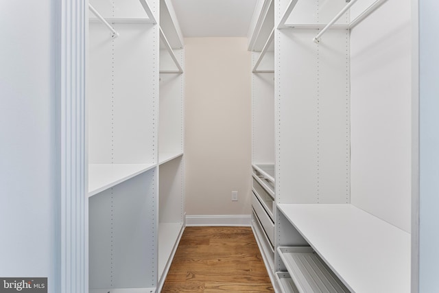 walk in closet with hardwood / wood-style flooring