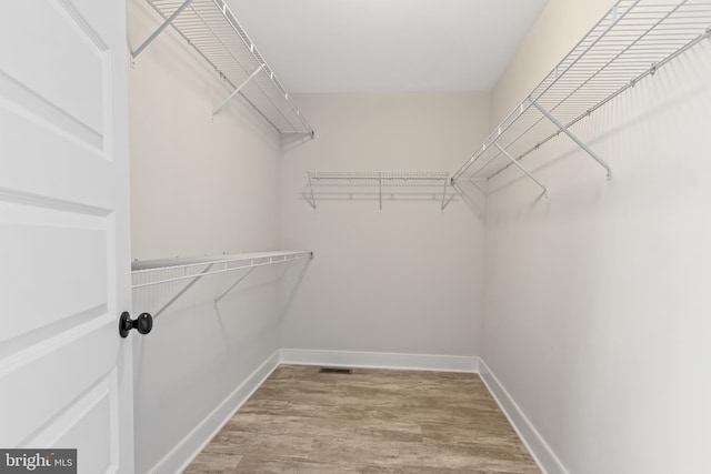 walk in closet with light wood-type flooring