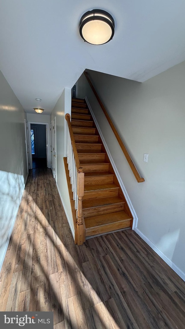 stairs with hardwood / wood-style floors