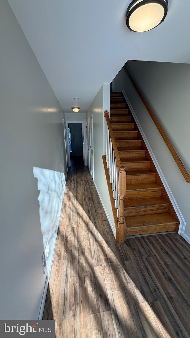 stairs with hardwood / wood-style floors