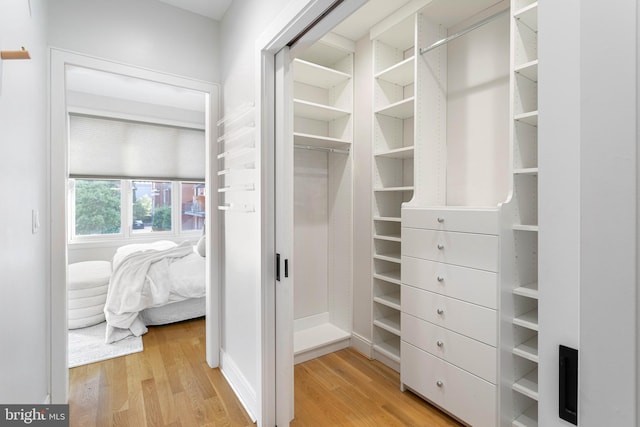 spacious closet featuring light hardwood / wood-style floors