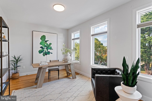 office space featuring light hardwood / wood-style floors