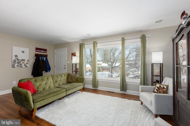 living room with hardwood / wood-style flooring