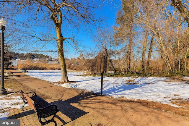 view of yard covered in snow