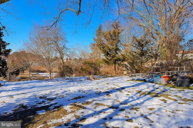 view of snowy yard