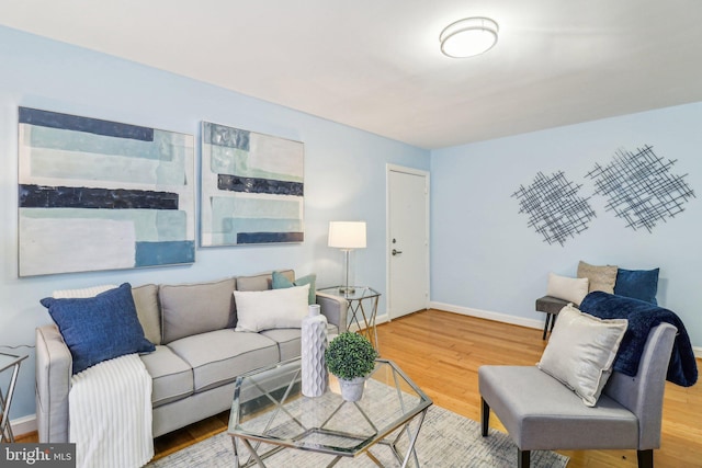 living room with wood-type flooring