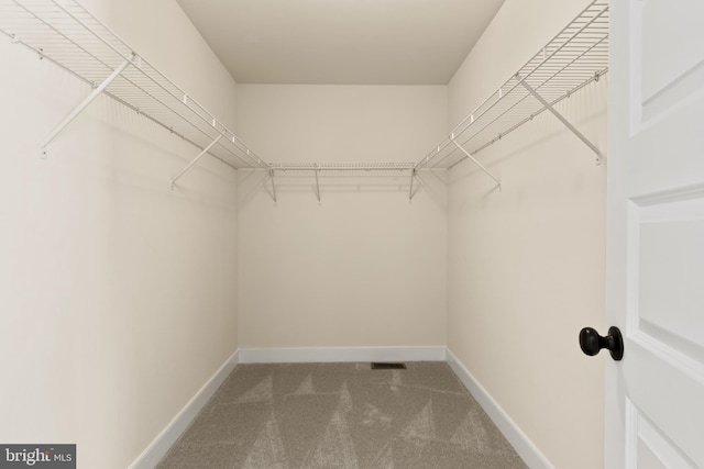 spacious closet with carpet floors