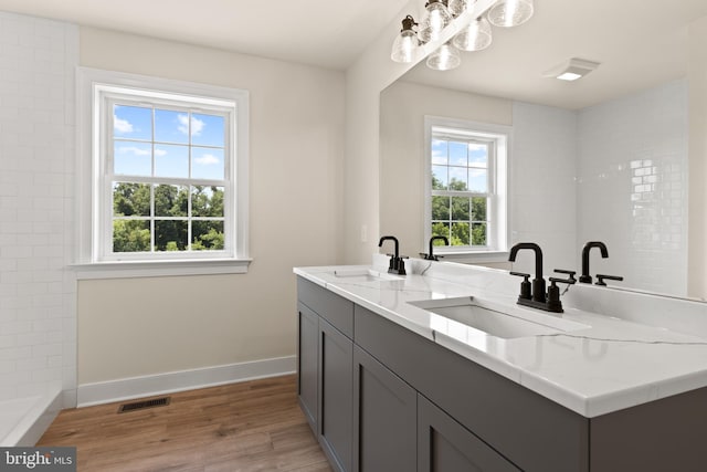 bathroom featuring hardwood / wood-style flooring and vanity