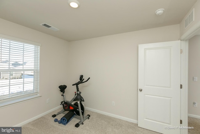 exercise room featuring light colored carpet