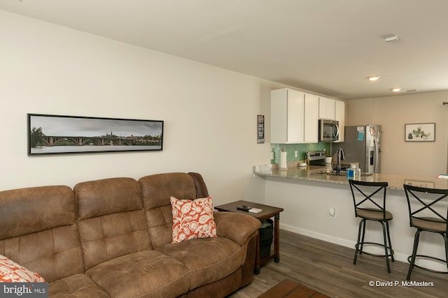 living room with sink and dark hardwood / wood-style flooring