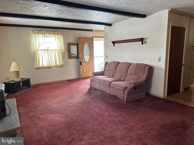 living room featuring beam ceiling, a wealth of natural light, a textured ceiling, and carpet flooring