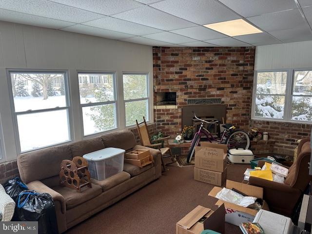 carpeted living room with a drop ceiling