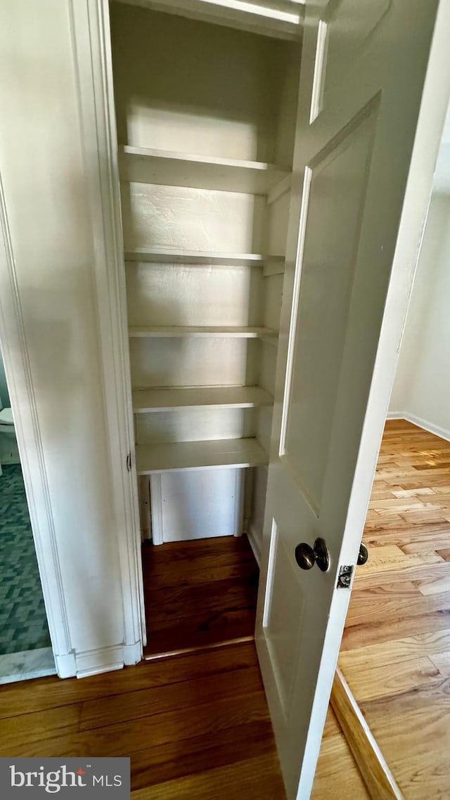 view of closet