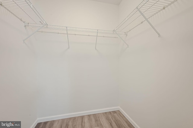 spacious closet featuring hardwood / wood-style flooring