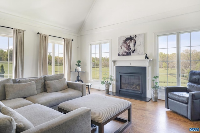 living room with crown molding, hardwood / wood-style flooring, and vaulted ceiling