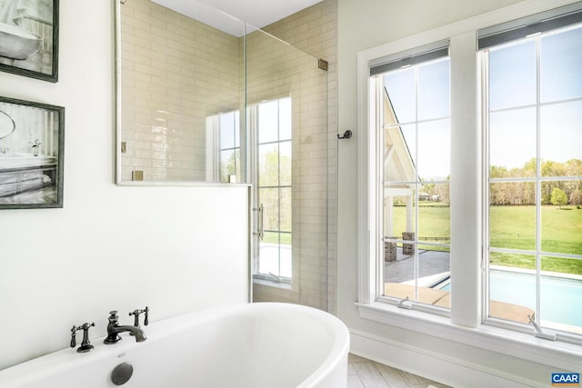 bathroom featuring a washtub and plenty of natural light