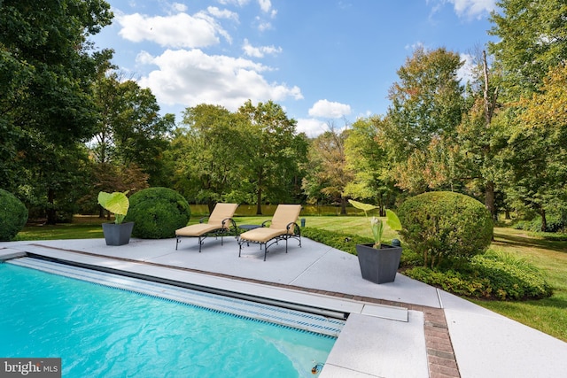 pool featuring a yard and a patio