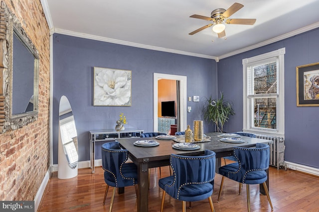 dining area featuring ceiling fan, radiator, wood-type flooring, and crown molding