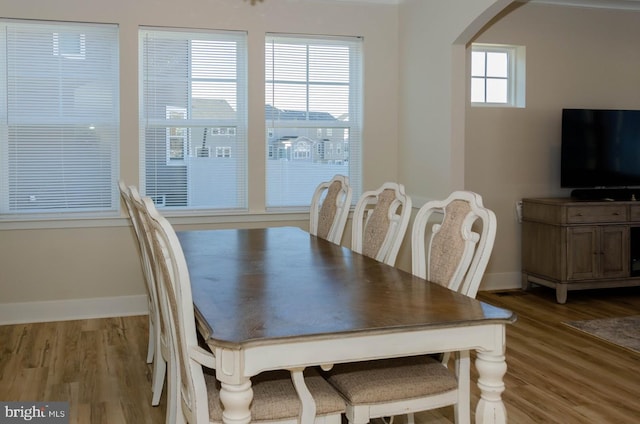 dining area with light hardwood / wood-style flooring and plenty of natural light