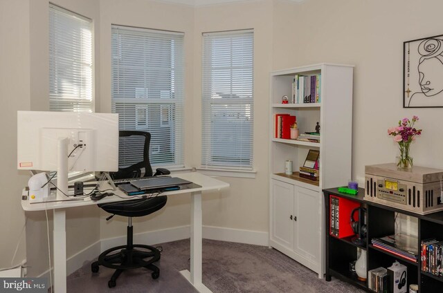 home office featuring a healthy amount of sunlight and carpet