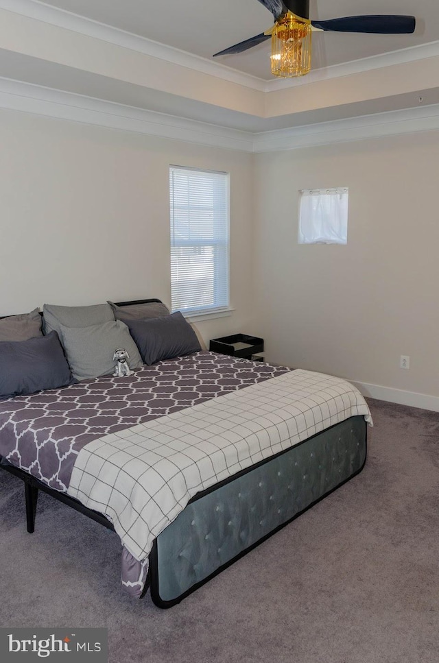 carpeted bedroom featuring crown molding, ceiling fan, a raised ceiling, and multiple windows