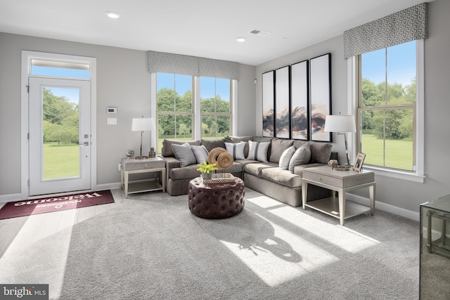 view of carpeted living room