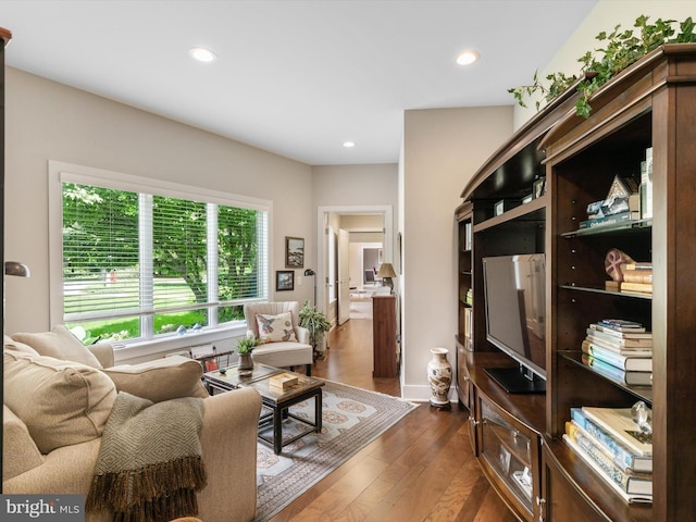 living room featuring dark hardwood / wood-style floors