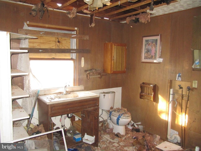 bathroom with toilet, sink, and wooden walls