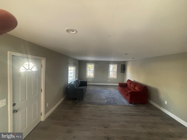 foyer entrance featuring dark hardwood / wood-style flooring