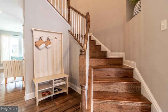 stairway featuring hardwood / wood-style flooring