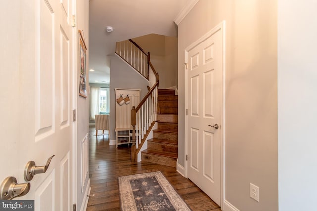 entryway with ornamental molding and dark hardwood / wood-style floors