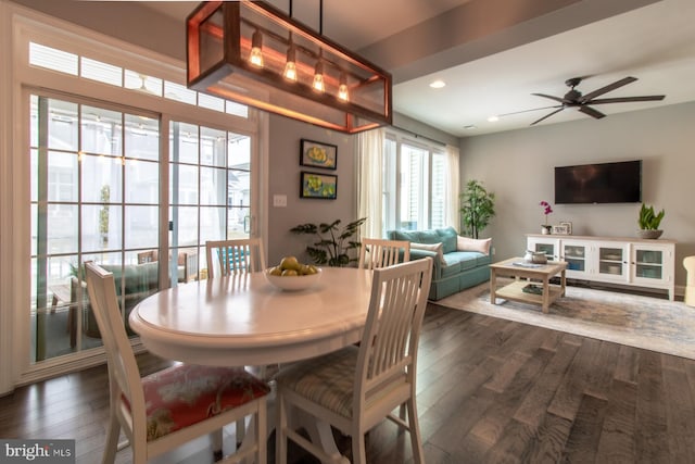 dining space featuring ceiling fan and dark hardwood / wood-style floors