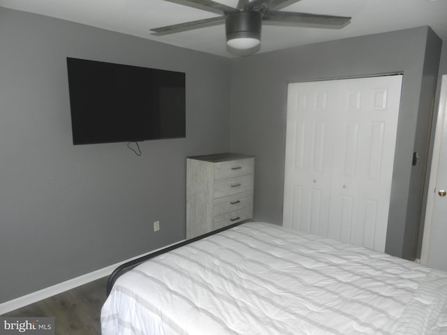 3714 Mayberry Ave Unit E, Baltimore, MD 21206 - bedroom featuring wood finished floors, a closet, and ceiling fan