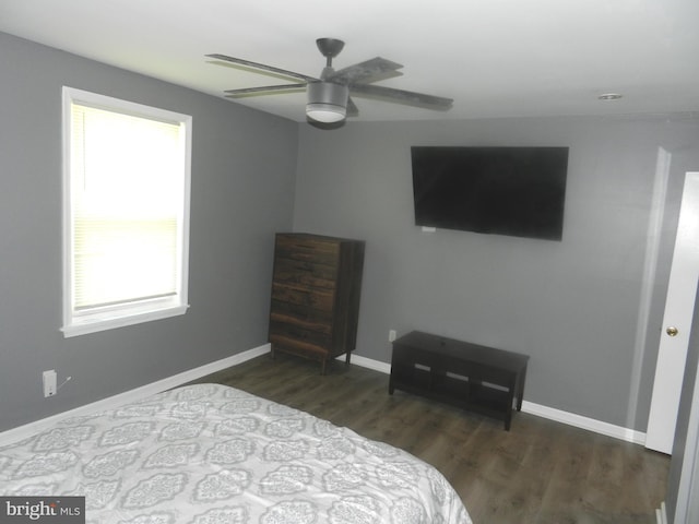 3714 Mayberry Ave Unit E, Baltimore, MD 21206 - bedroom featuring wood finished floors and ceiling fan