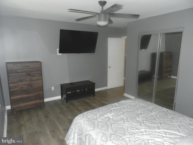3714 Mayberry Ave Unit E, Baltimore, MD 21206 - bedroom featuring a closet, wood finished floors, and a ceiling fan