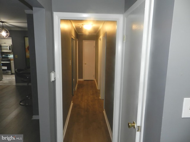 3714 Mayberry Ave Unit E, Baltimore, MD 21206 - hall with dark wood-type flooring and crown molding