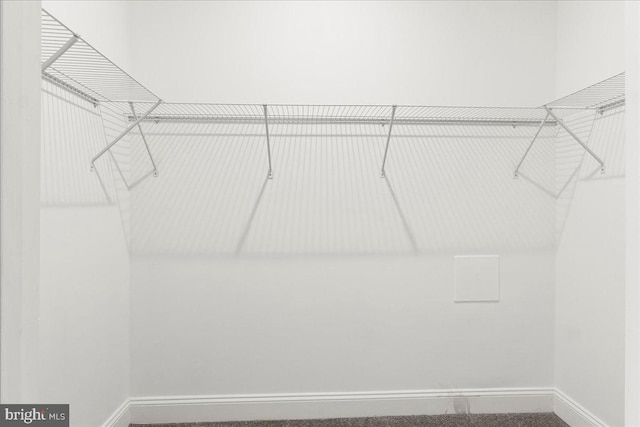 1631 U St SE, Washington, DC 20020 - view of walk in closet