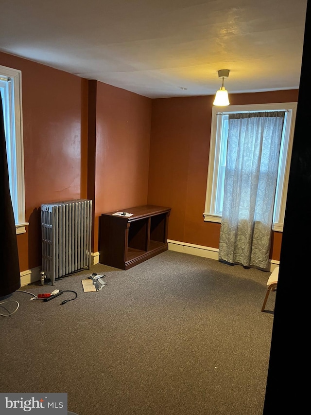 interior space featuring radiator heating unit and baseboard heating