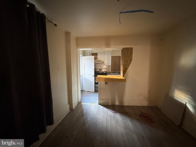 empty room with sink and hardwood / wood-style floors