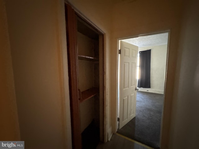 hall with dark colored carpet