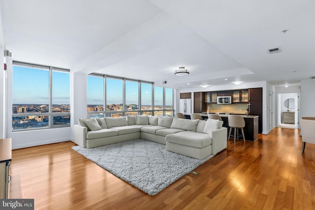 living room with floor to ceiling windows, hardwood / wood-style floors, and sink