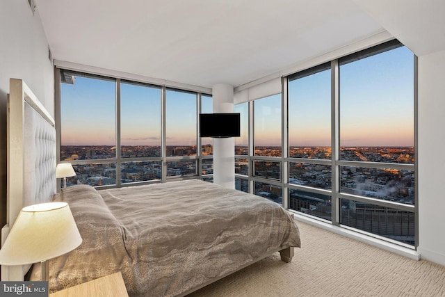 carpeted bedroom with a wall of windows