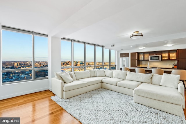 living room with a healthy amount of sunlight and light hardwood / wood-style flooring