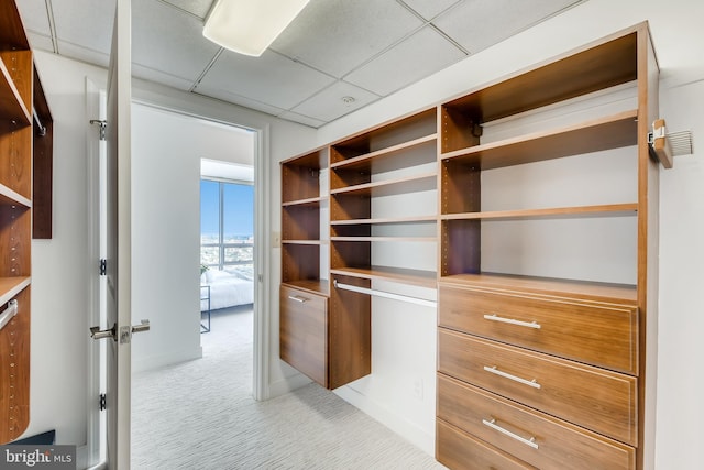 spacious closet with light carpet and a drop ceiling