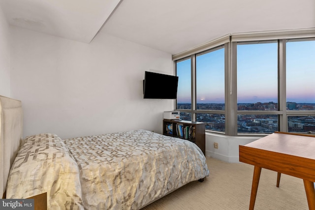 view of carpeted bedroom