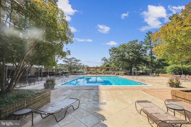 view of swimming pool with a patio