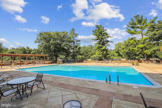 view of swimming pool with a pergola and a patio