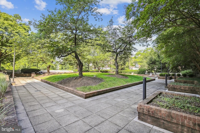 view of community featuring a patio