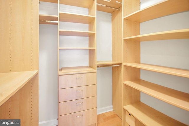 walk in closet featuring light hardwood / wood-style flooring