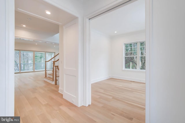 hallway with a wealth of natural light and light hardwood / wood-style flooring